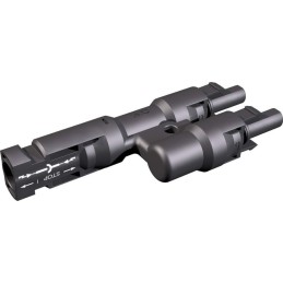 Derivation Male - Fem. - Fem. - 320018 - Multi Contact