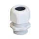 Presse-etoupe EUROCAP Pg21 GR CAP412170 